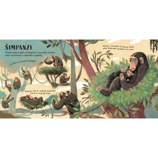 Je čas jít spát, zvířata - Svojtka & Co. 9788025641385
