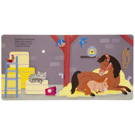 Nastává noc a některá zvířátka se ukládají ke spánku. Vydej se za zvířátky s touto veršovanou zvukovou knihou s blikajícími světýlky.