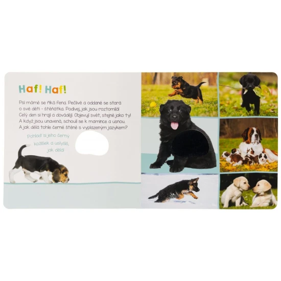 Jak dělá koťátko? A jak kůzle? Pohlaď si jejich jemnou srst a zjisti, jak dělají.