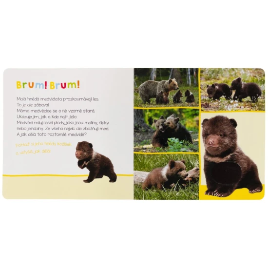 Jak dělá koťátko? A jak kůzle? Pohlaď si jejich jemnou srst a zjisti, jak dělají.