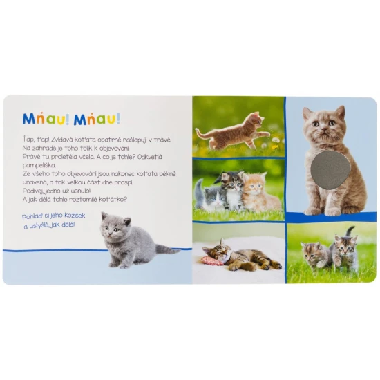 Jak dělá koťátko? A jak kůzle? Pohlaď si jejich jemnou srst a zjisti, jak dělají.