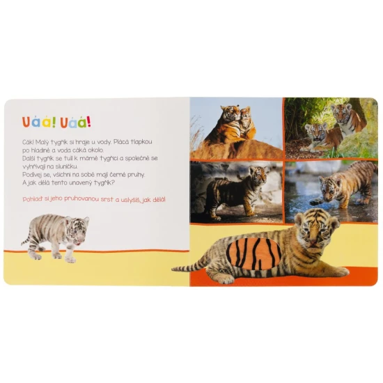 Jak dělá koťátko? A jak kůzle? Pohlaď si jejich jemnou srst a zjisti, jak dělají.