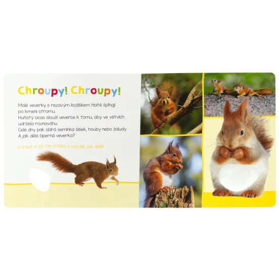 Jak dělá jelen? A jak divočák? Pohlaď si jejich jemnou srst a zjisti, jak dělají.