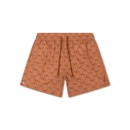 Pánské plavecké šortky s UPF 50+ Palm Stripe