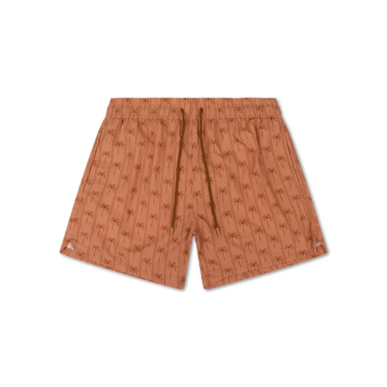 Pánské plavecké šortky s UPF 50+ Palm Stripe