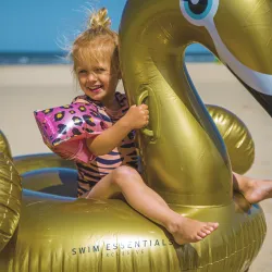 Nafukovačka Labuť zlatá 150 cm Nafukovačka Labuť zlatá 150 cm