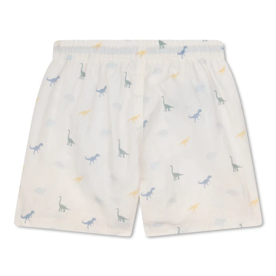 Plavkové šortky s UPF 50+ Dino | Swim Essentials