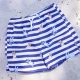 Dětské chlapecké plavecké šortky s UPF 50+ Bluey Swim Essentials