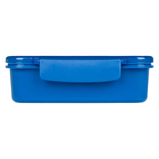 Svačinový box s přihrádkami Dino