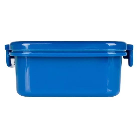 Svačinový box s přihrádkami Dino