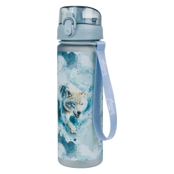 Tritanová láhev na nápoje Polar 500 ml