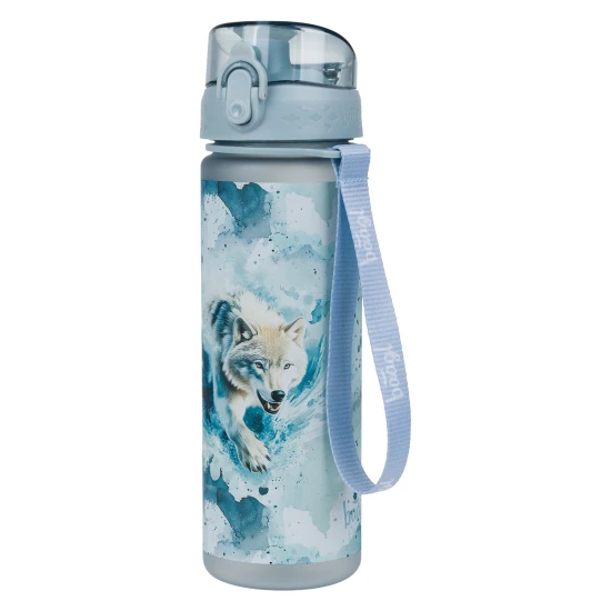 Tritanová láhev na nápoje Polar 500 ml