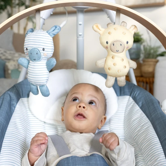 Pohupující hudební houpačka Chambray 0m+, do 9 kg Pohupující hudební houpačka Chambray 0m+, do 9 kg Ingenuity 16927-1