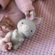 Kousátko kaučukové zajíček Sylvi™ 0m+ Kousátko kaučukové zajíček Sylvi™ 0m+ Ingenuity 13076-6