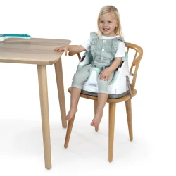 Podsedák na židli 2v1 Baby Base™ Mist 6m+ do 15 kg