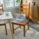 Podsedák na židli My Spot™ Grey 6m+, do 15 kg Ingenuity 17481-3