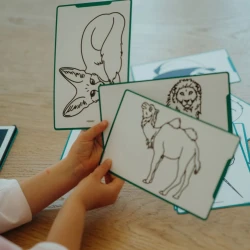 Doplňkové karty Kidydraw mini Zvířata celého světa, oceánů a piráti