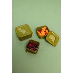 Svačinové boxy Dinosaur 3 ks