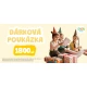 Dárková elektronická poukázka v hodnotě 1 800 CZK pro děti a rodiče – nákup na babyknihy.cz.
