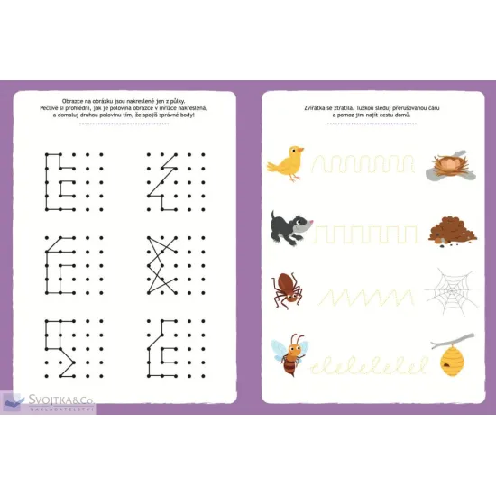 Hlavolamy a logické hry Výzvy a úkoly