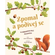 Zpomal a podívej se