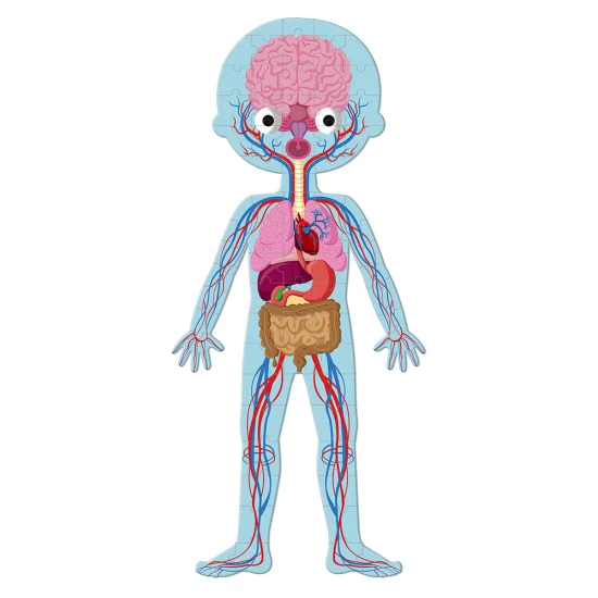 Vzdělávací puzzle Lidské tělo 50ks