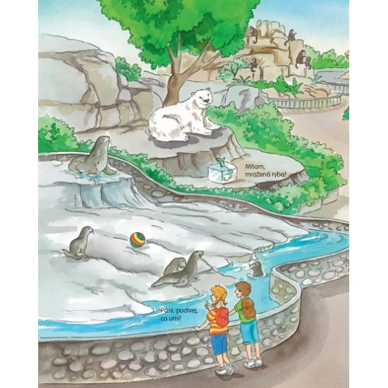 Zvířátka v ZOO - kniha se 16 magnetkami