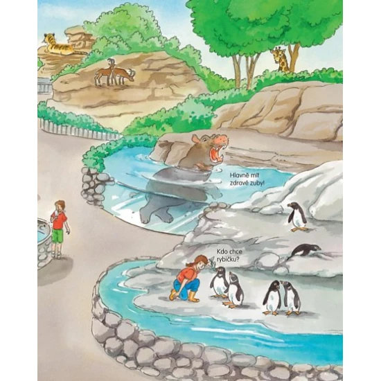 Zvířátka v ZOO - kniha se 16 magnetkami