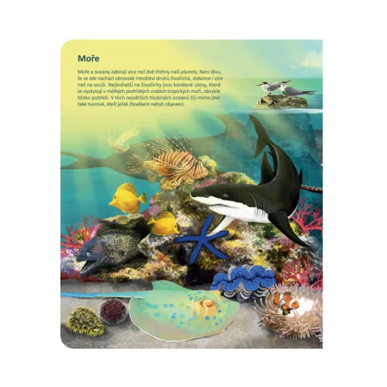 Svět zvířat Kouzelné čtení