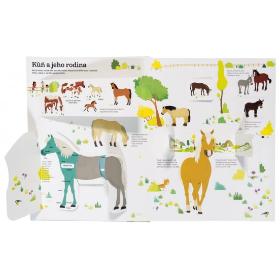 Nej... KONĚ v pohybu