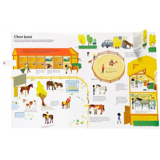 Nej... KONĚ v pohybu