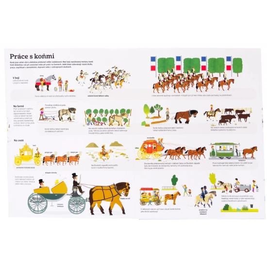 Nej... KONĚ v pohybu