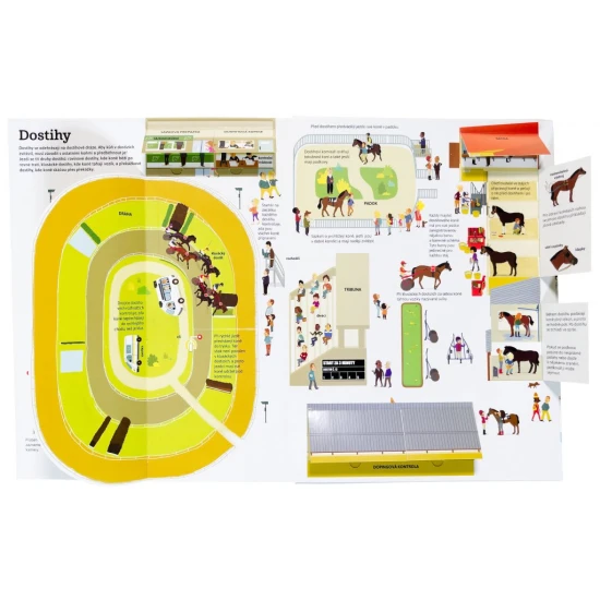 Nej... KONĚ v pohybu