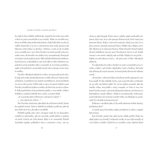 Harry Potter a Kámen mudrců