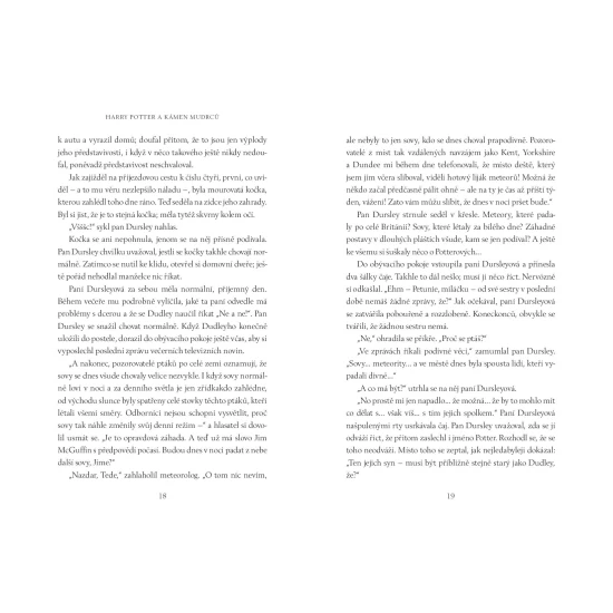 Harry Potter a Kámen mudrců