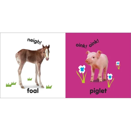 Leporelo Baby Animals rozšíří Vašemu miminku slovní zásobu o to, jak se jmenují mláďátka známých zvířátek. 