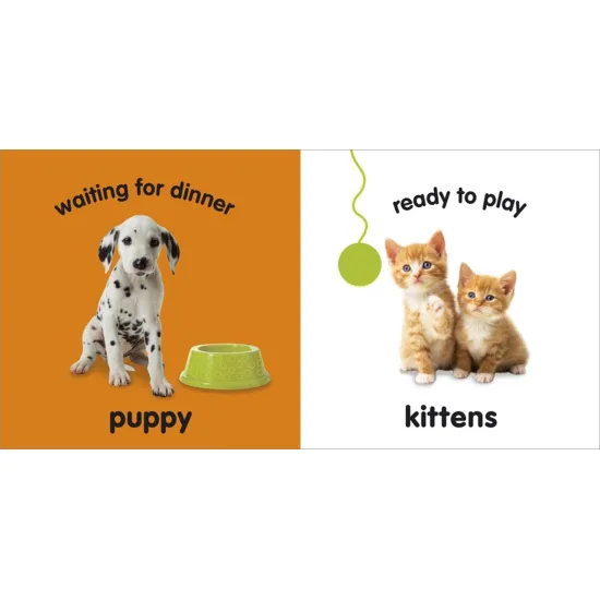 Leporelo Baby Animals rozšíří Vašemu miminku slovní zásobu o to, jak se jmenují mláďátka známých zvířátek. 