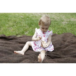 Provlékání Sýr s myší