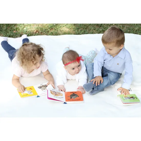 Oblíbené dětské dotykové leporelo Farm představí batolatům život na farmě. 