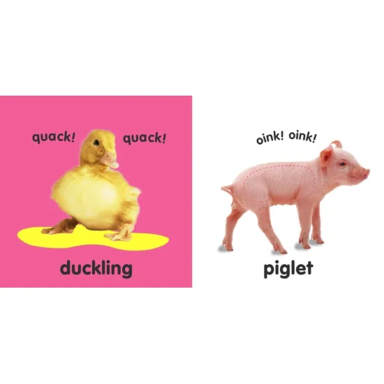 Oblíbené dětské dotykové leporelo Farm představí batolatům život na farmě. 