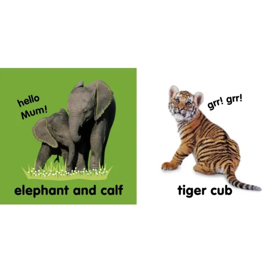 Další knihu ze série „Touch and Feel“ budou nejmenší dětičky milovat! 