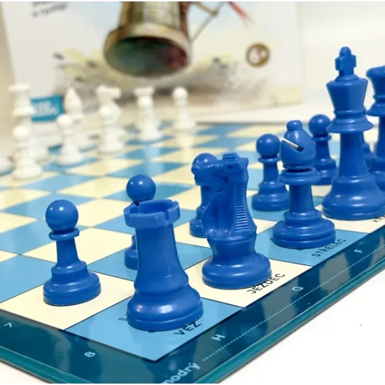 Šach Mat! – Naučte se hrát šachy zábavným způsobem!