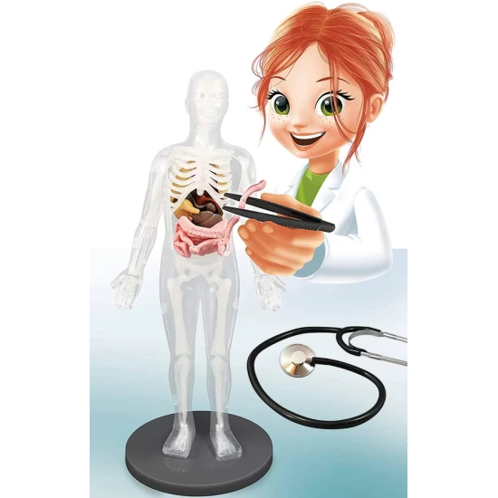 Dětská experimentální sada s cca 30cm vysokým modelem lidského těla a příslušenstvím k realizaci 12ti pokusů.