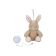 Usínáček plyšový králíček Little Dutch Newborn Naturals