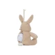 Usínáček plyšový králíček Little Dutch Newborn Naturals
