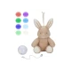 Usínáček plyšový králíček Little Dutch Newborn Naturals