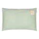 Povlečení 200x140 a 60x70 cm lev Safari Friends – Little Dutch TE10826047LD