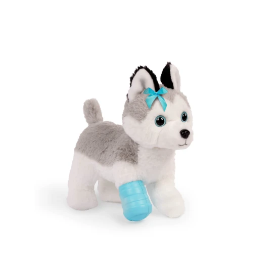 Roztomilý Husky v kabelce s veterinářskou sadou