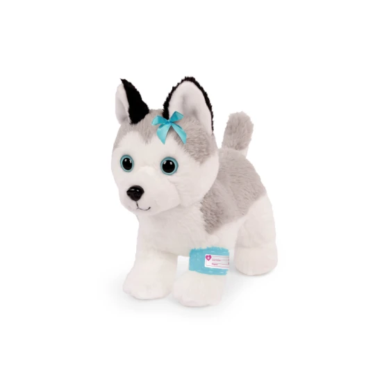 Roztomilý Husky v kabelce s veterinářskou sadou