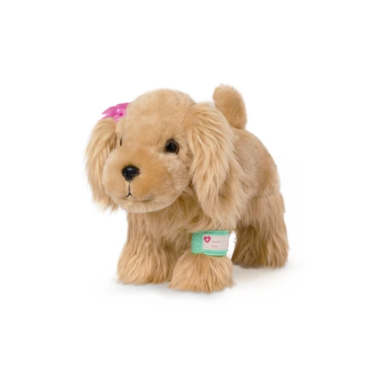 Roztomilý kokršpaněl v kabelce s veterinářskou sadou